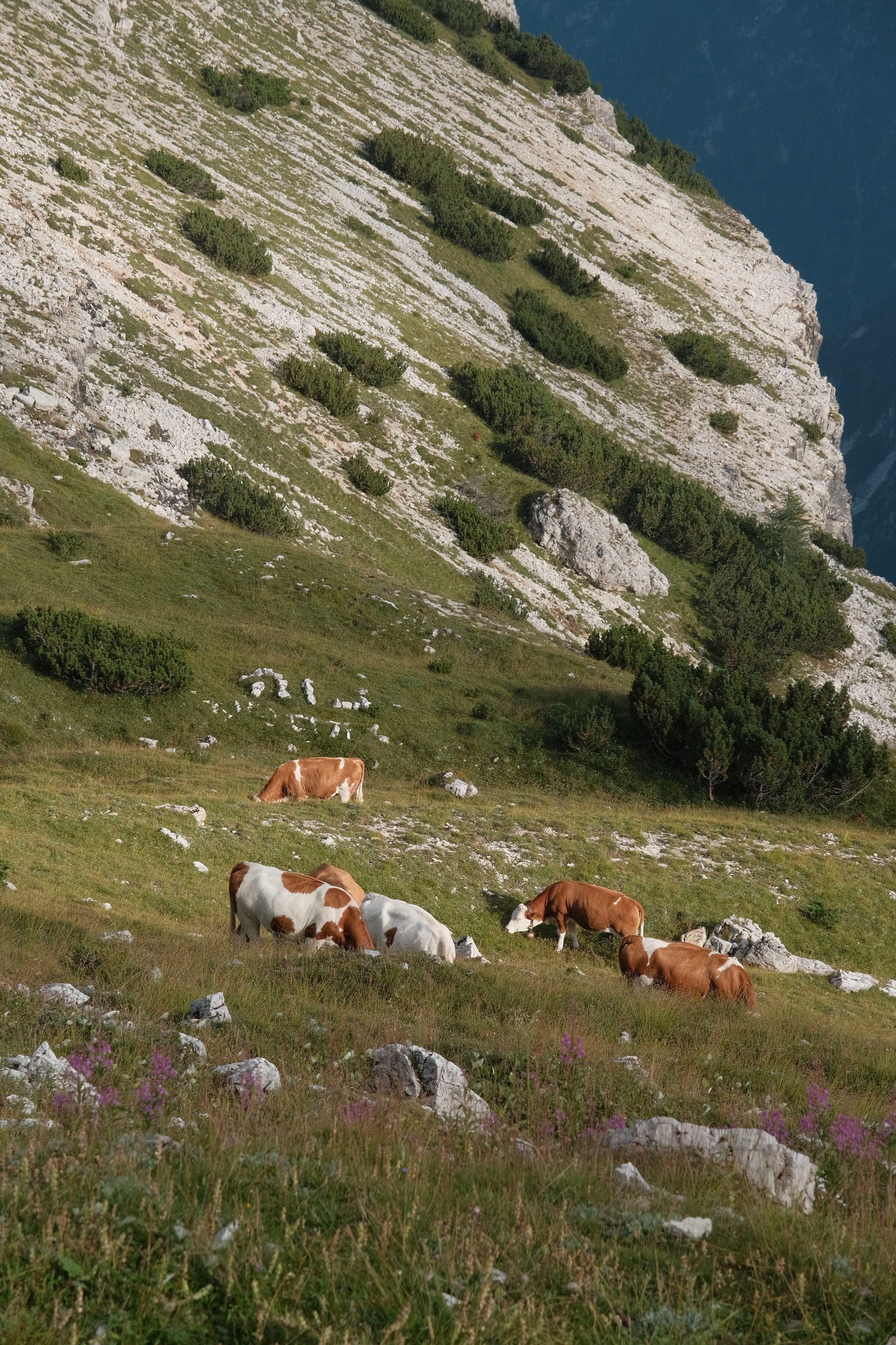 Tre Cime di Lavaredo